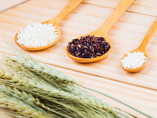 two types of milled rice on wooden spoons