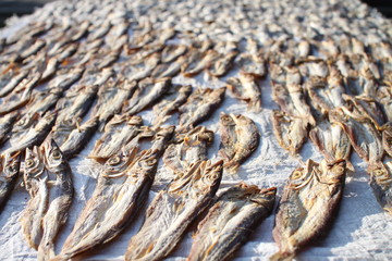 process of making a dried fish