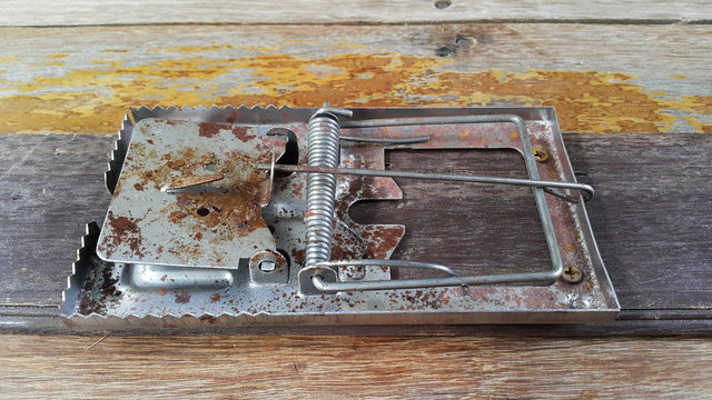 Old rat-trap