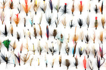 Trout Fishing Flies - 87695657
