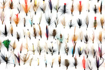 Zelfklevend Fotobehang Forelvissen vliegen © bigal04uk