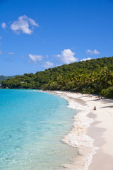 セントジョン島のトランクベイ