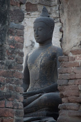 Obraz premium statue of buddha