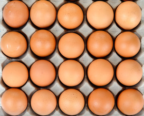 Close up egg in packet background texture