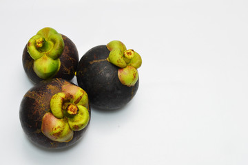 mangosteen