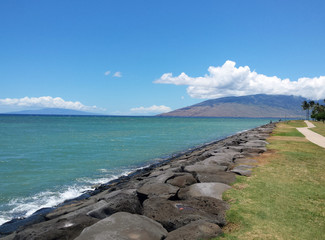 Fototapeta na wymiar typical hawaiian beach