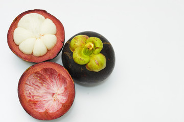 mangosteen
