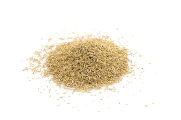 Rosemary spice herb closeup on white