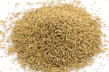 Rosemary spice herb closeup on white