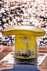 Fototapeta premium Poller im Gegenlicht