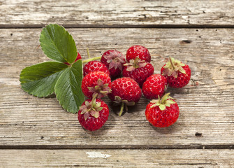 Mieze Schindler variety of Strasberry or Framberry fruits