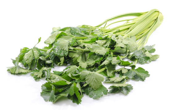 Green celery