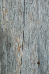 Fototapeta premium Old Wood Background