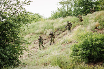 paratrooper airborne infantry in the forest
