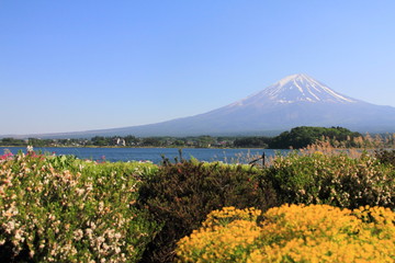Mountain Fuji in Japan Lake Kawaguchi