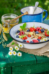 Fresh muesli with yogurt and berry fruits