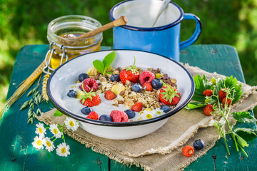 Fresh muesli with berry fruits and yogurt