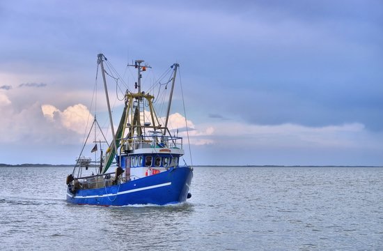 Fototapeta Nordsee Fischkutter - North Sea fishing cutter 01