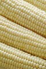 Corn