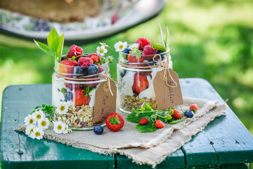 Tasty muesli with yogurt and berry fruits in sunny day