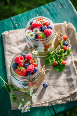 Tasty muesli with berry fruits and yogurt in garden
