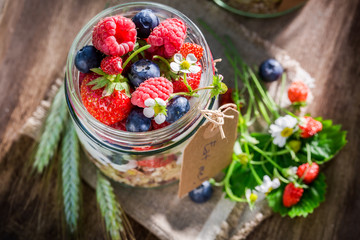 Healthy granola with yogurt and berry fruits in garden