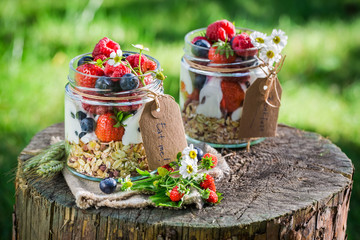 Fresh breakfast with yogurt and berry fruits in garden