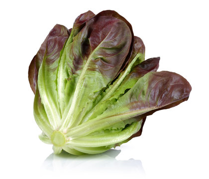 Lettuce