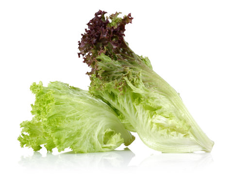 Lettuce