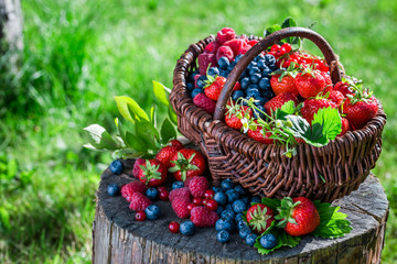 Fototapeta na wymiar Ripe berry fruits in garden