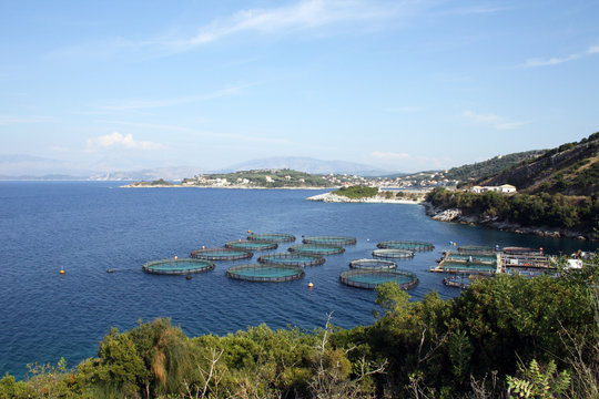 Fish farming, Corfu, Greece