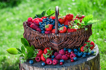 Fototapeta na wymiar Fresh berry fruits in sunny day