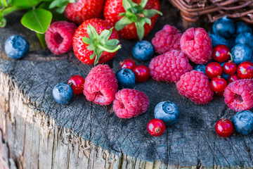 Fresh berries in sunny day