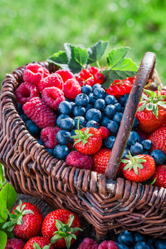 Healthy berry fruits in basket