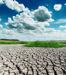 Foto op Plexiglas drought earth under dramatic sky © Mykola Mazuryk