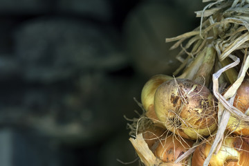 Red onions plant, macro photography