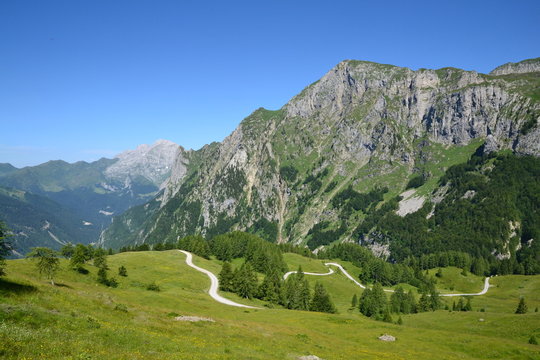 Monte Timau e Coglians (panorama da malga Pramosio)