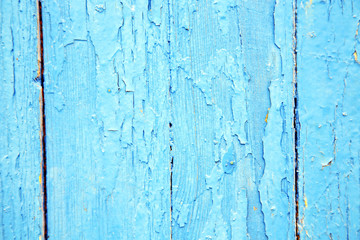 Fototapeta na wymiar dirty stripped paint in the blue wood door and