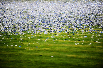 Confetti on a soccer field