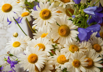 Summer bouquet of daisies and bluebells