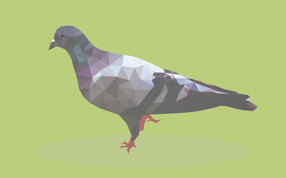 Geometric Pigeon stand with one leg vector