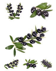 Black olives with green leaves isolated white background