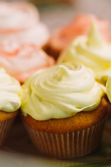 Dessert Sweet Gourmet Cupcakes With Multi-colored Frosting