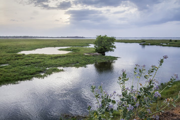 Arugam bay lagoon landscape, Sri Lanka © PACO COMO