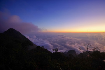 Horizon and the mist