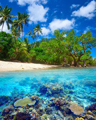 Beautiful Coral Reef. © soft_light