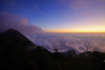 Horizon and the mist