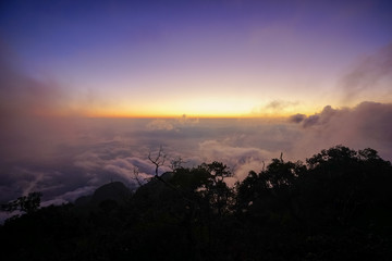 Horizon and the mist