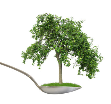 Symbol Makrobiotik L&ouml;ffel mit Apfelbaum als Freisteller vor wei&szlig;em Hintergrund