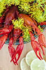 Elegant crayfish meal